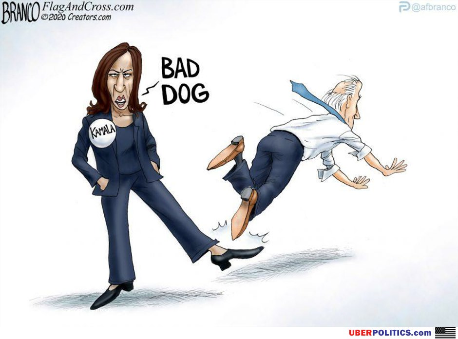 Bad Dog
