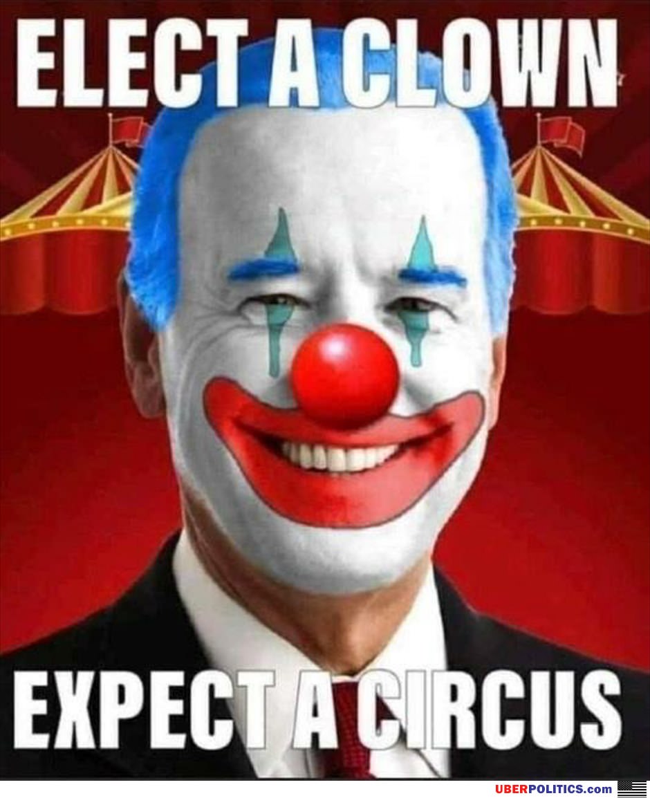 Elect A Clown