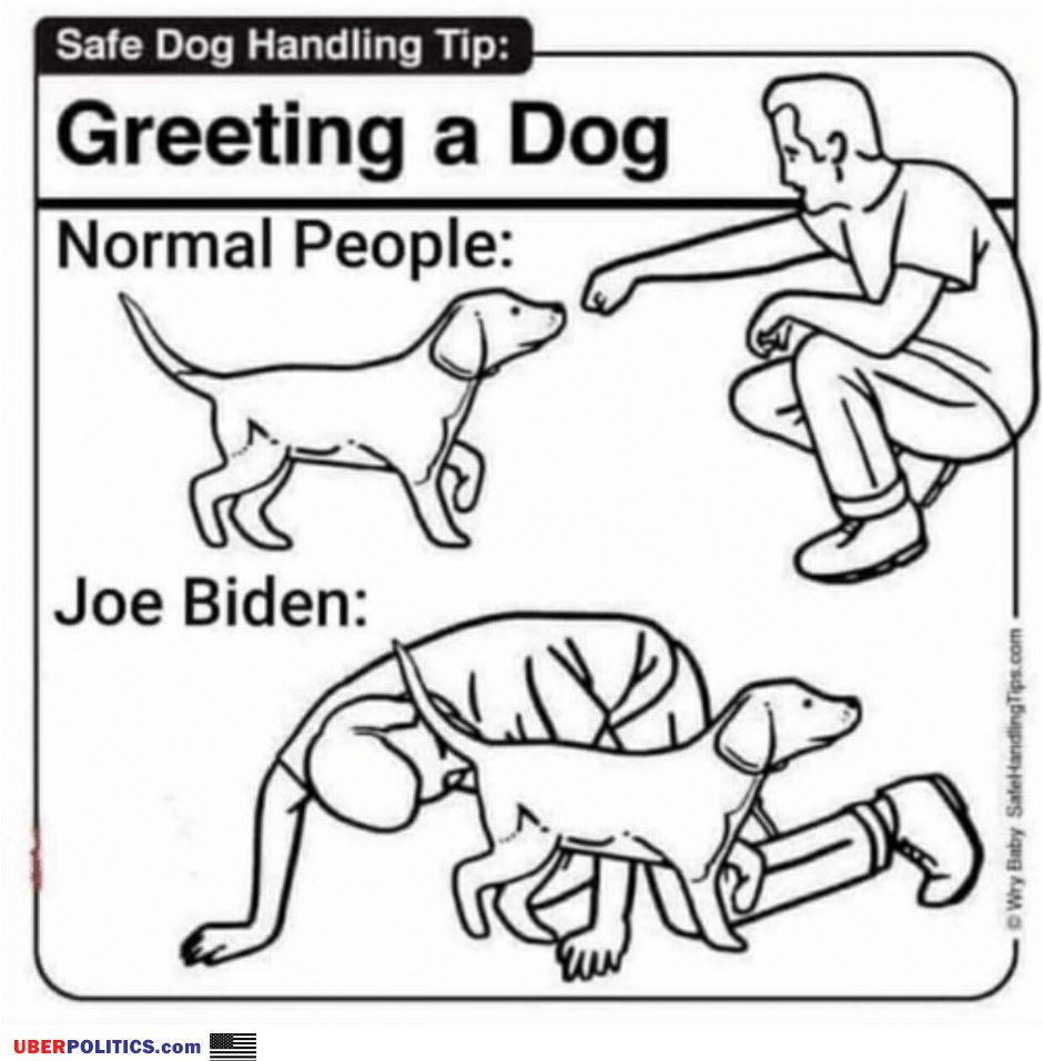 Greeting A Dog