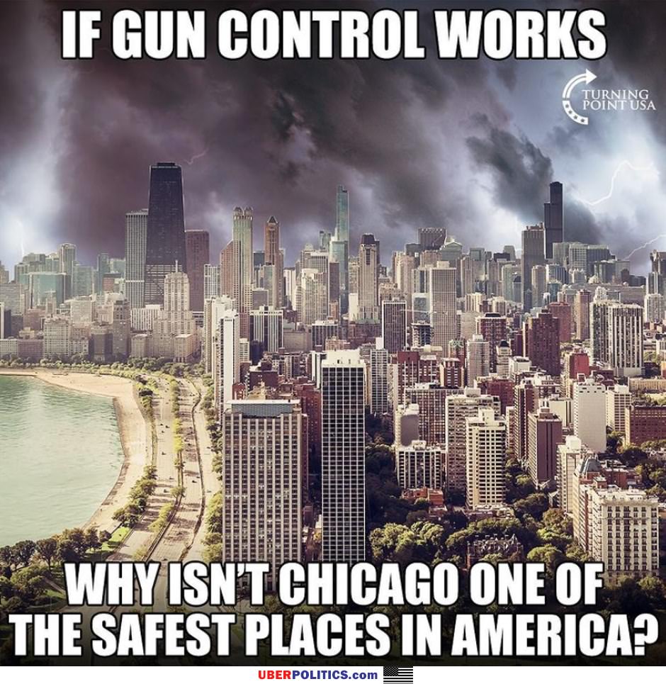 If Gun Control Worked