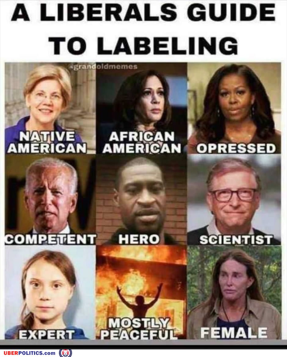 Liberal Guide