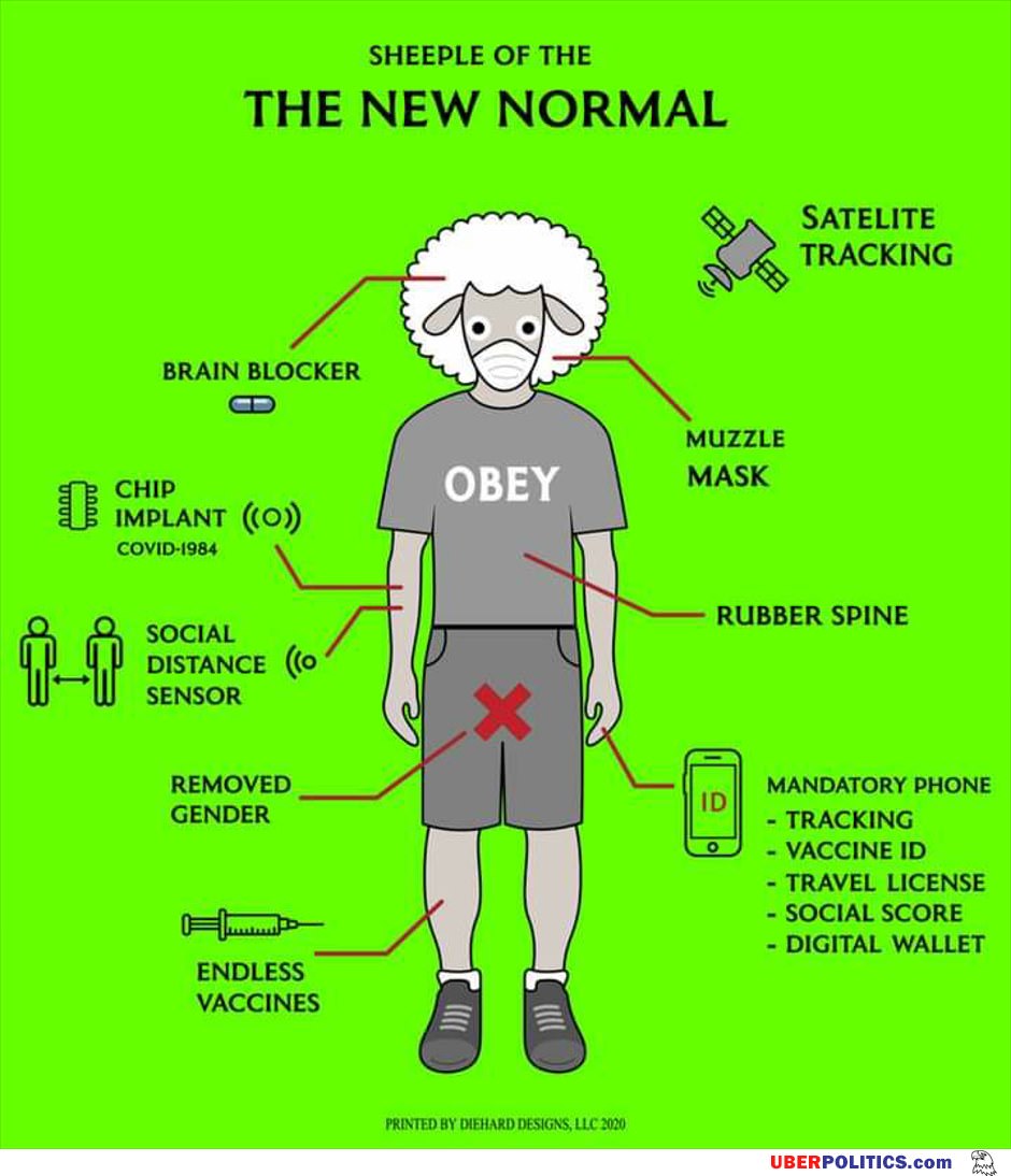 The New Normal