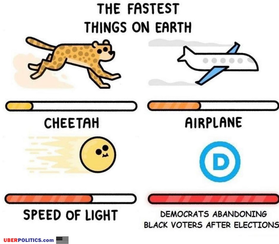 The Fastest Things On Earth