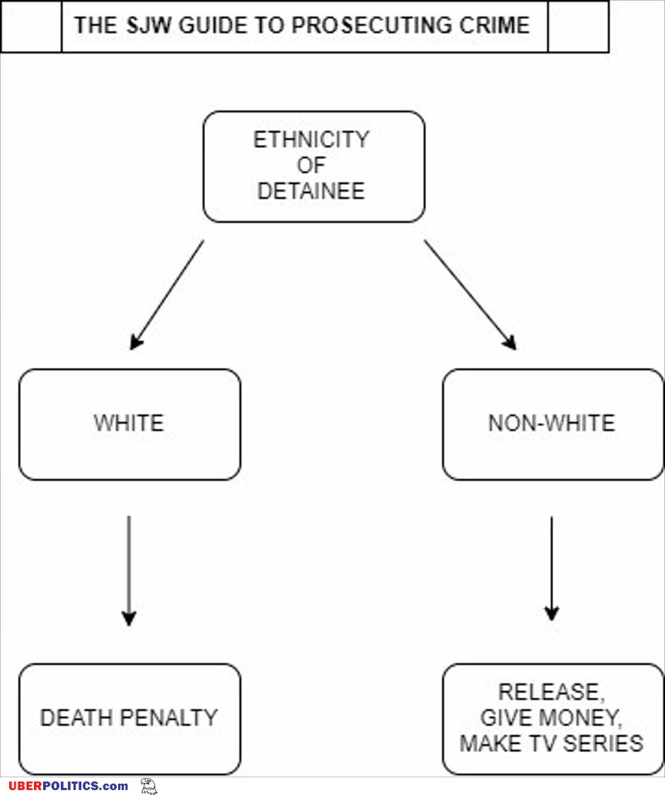 The Sjw Guide
