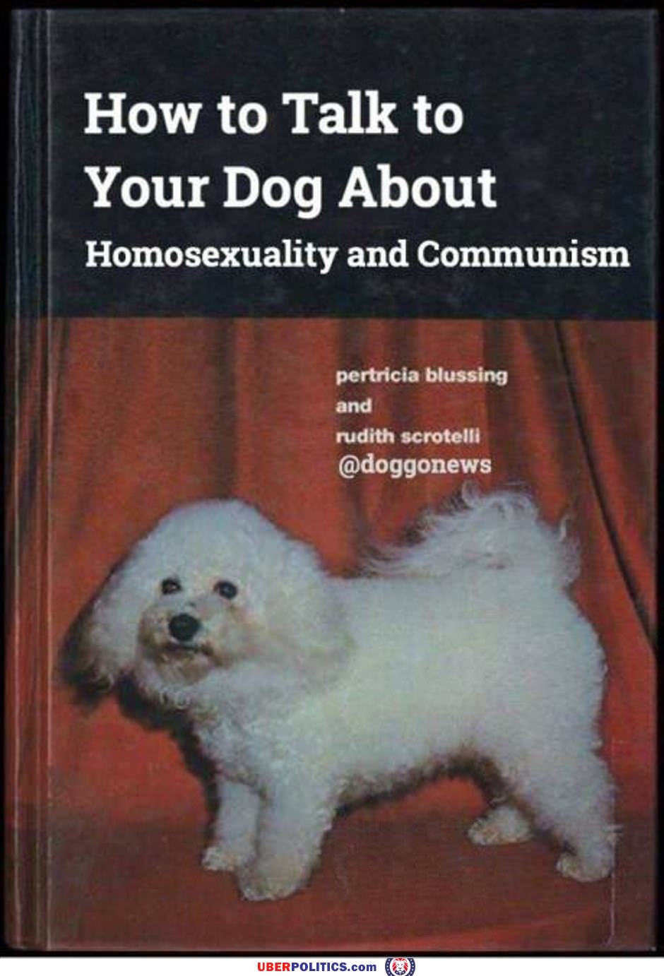 Talk To Your Dog