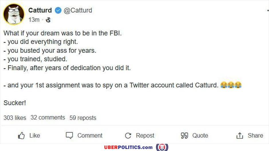 Catturd