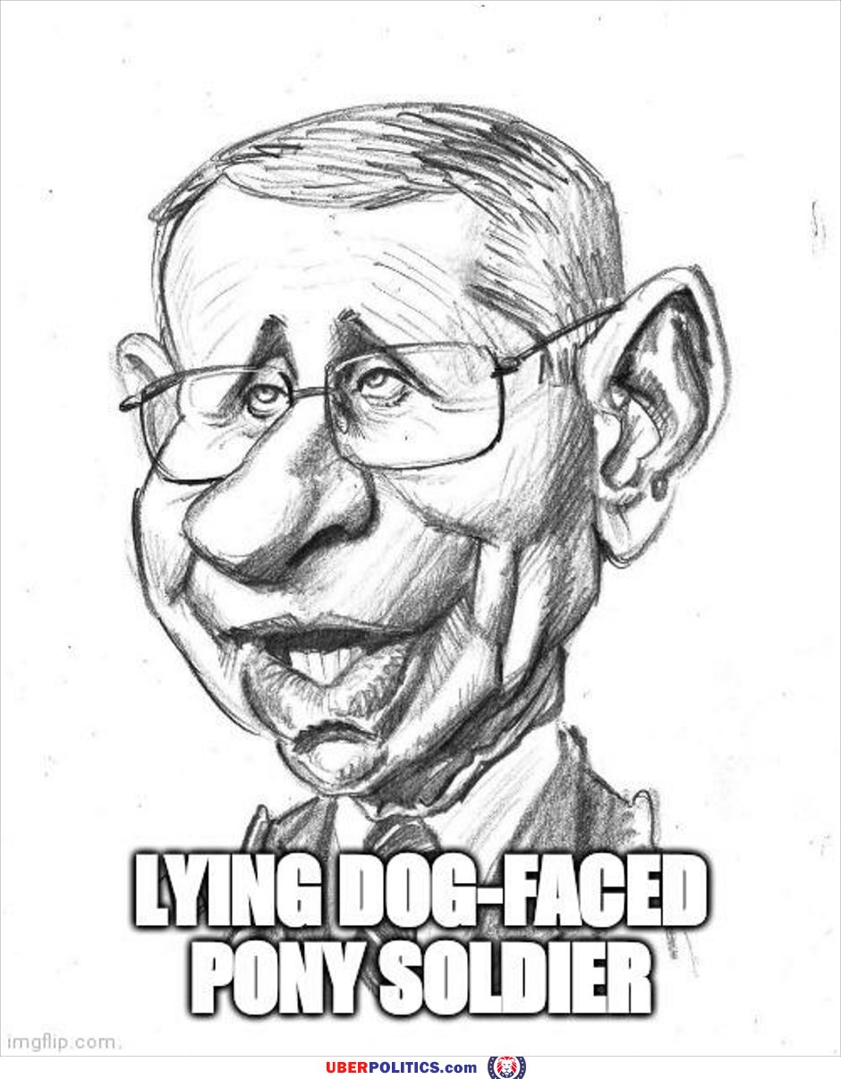 Lying Dog Face