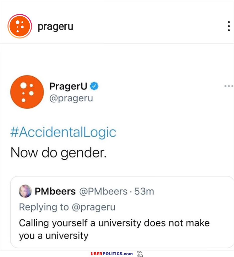 Now Do Gender