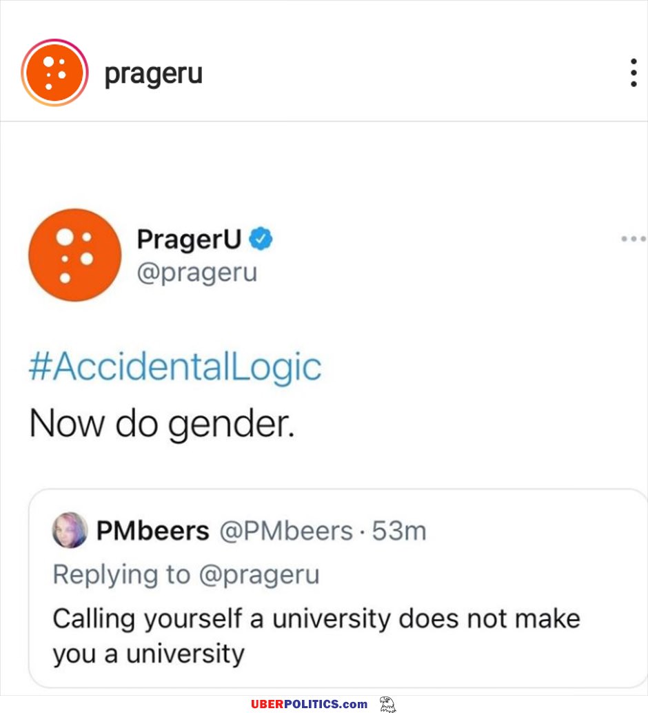Now Do Gender