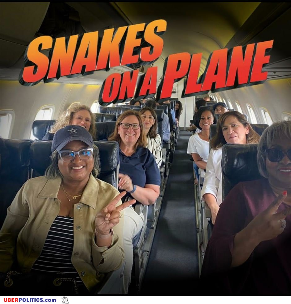 Snakes On A Plane