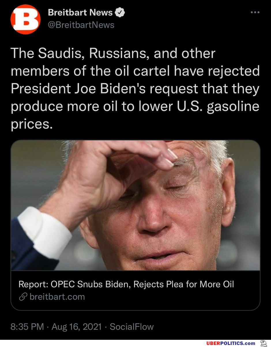 Biden You Idiot