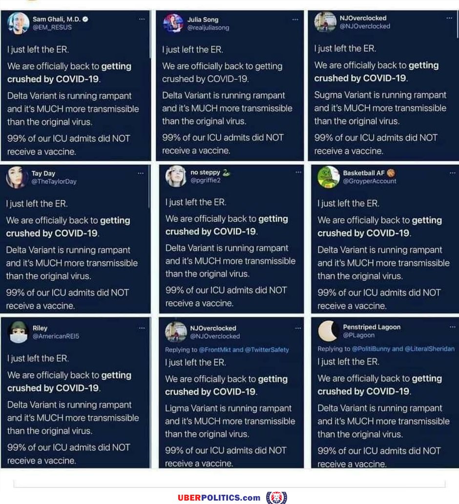 Chinese Bots