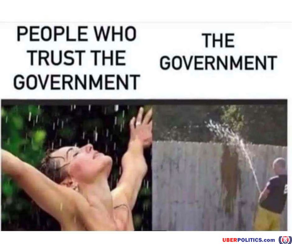 The Government