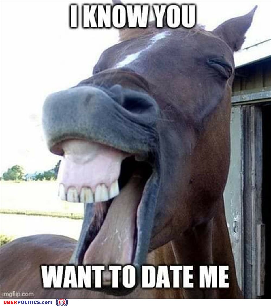 Want To Date Me