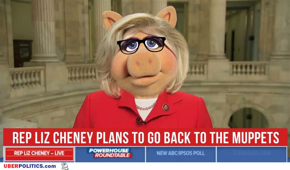Back To The Muppets