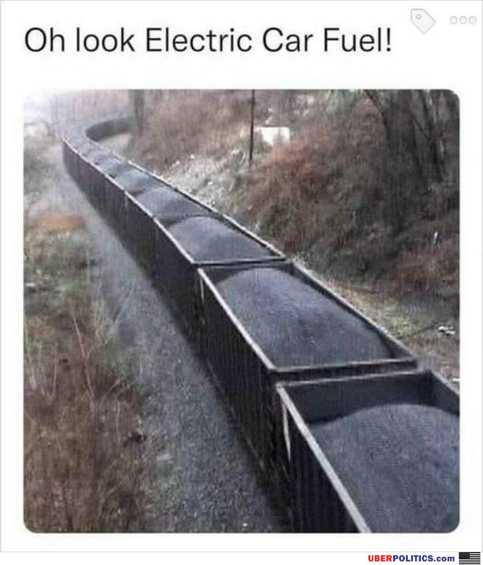 Fuel