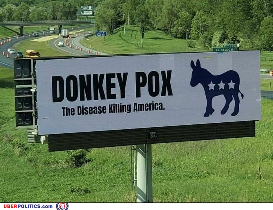 Donkey Pox
