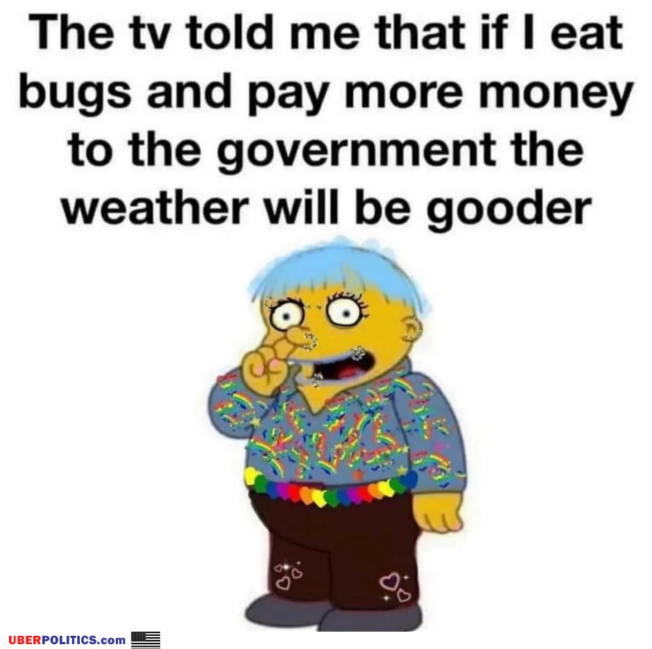 The Tv Told Me