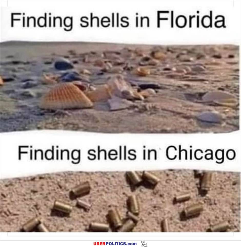 Shells