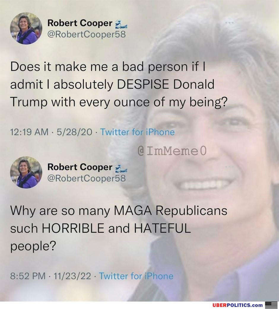 This Idiot