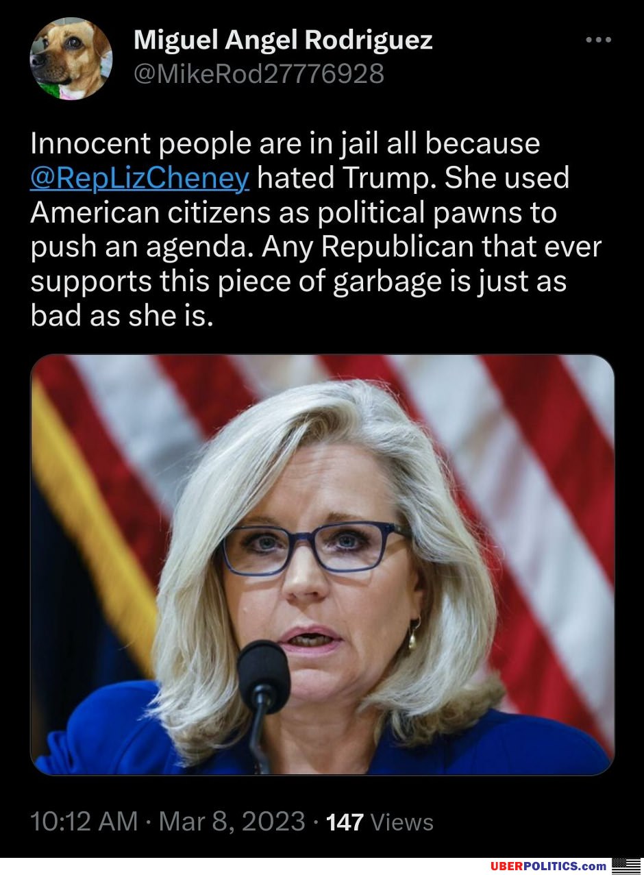 Liz Cheney Is A Horrible Person