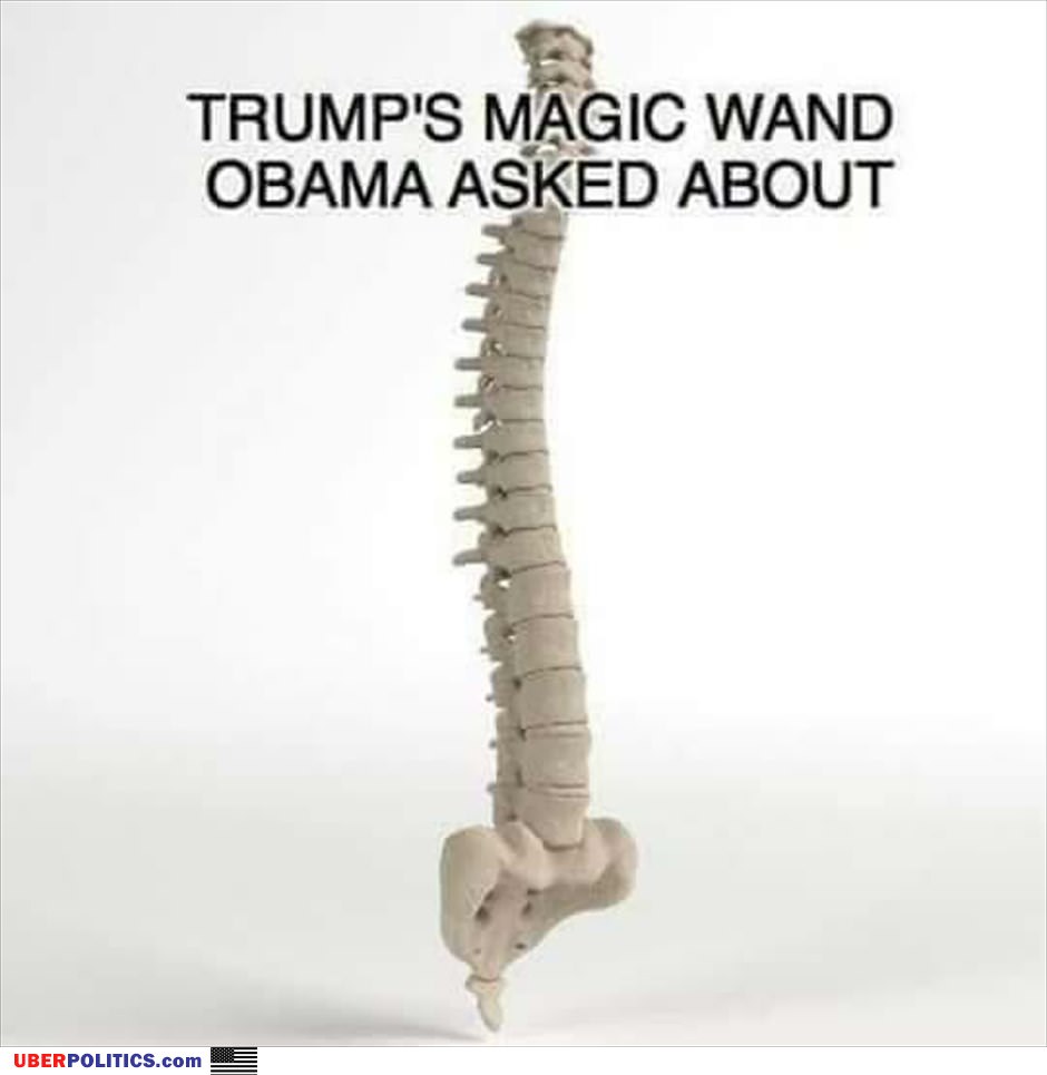 Trumps Magic Wand