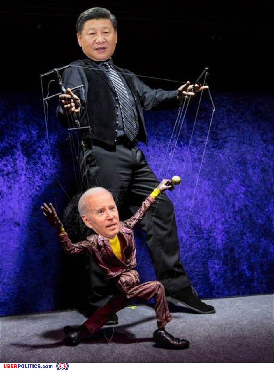 The Puppet Master