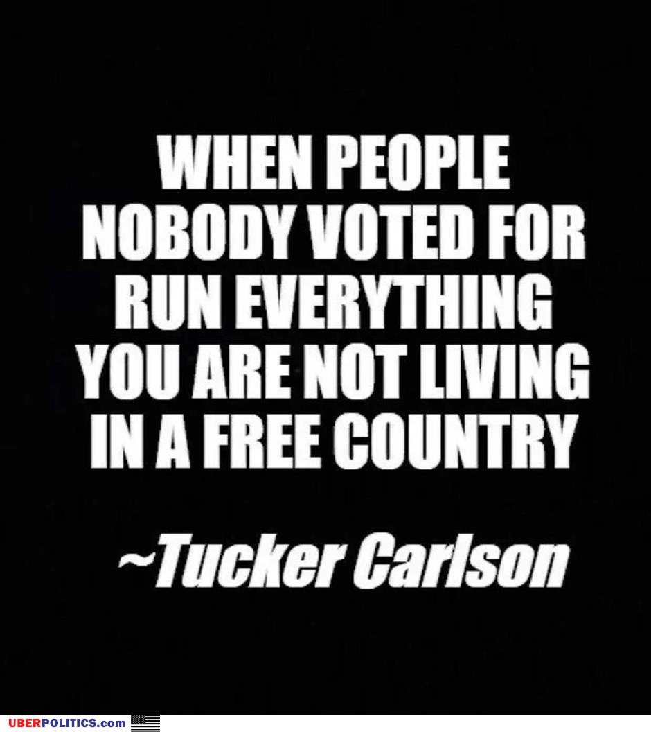 Nobody Voted For