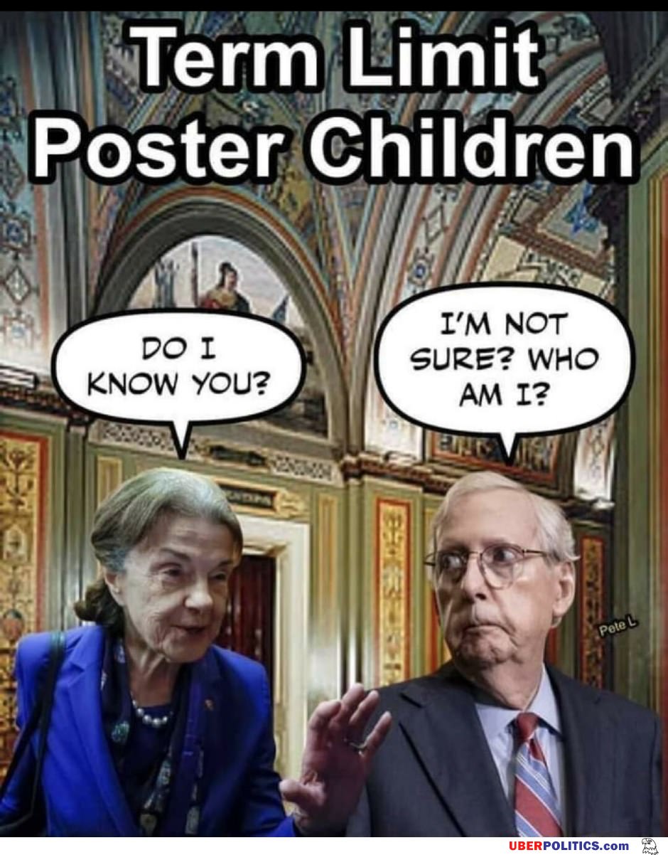 Term Limits Now