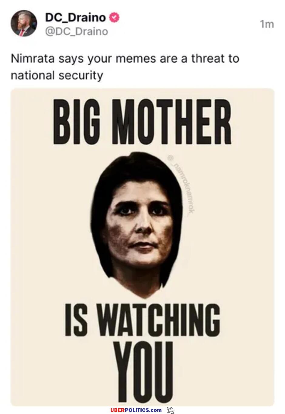 Big Rino