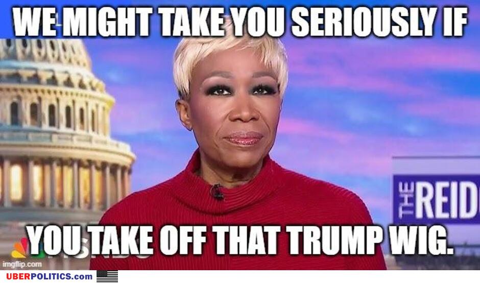 The Trump Wig