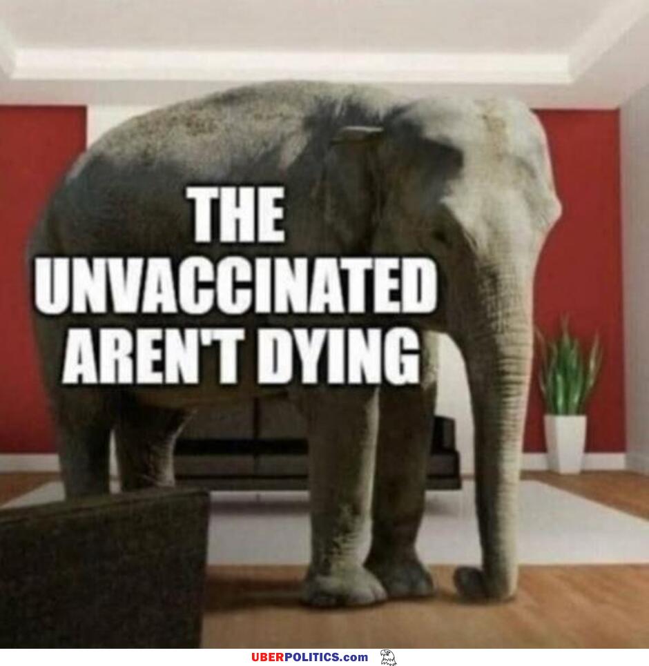 The Unvaccinated