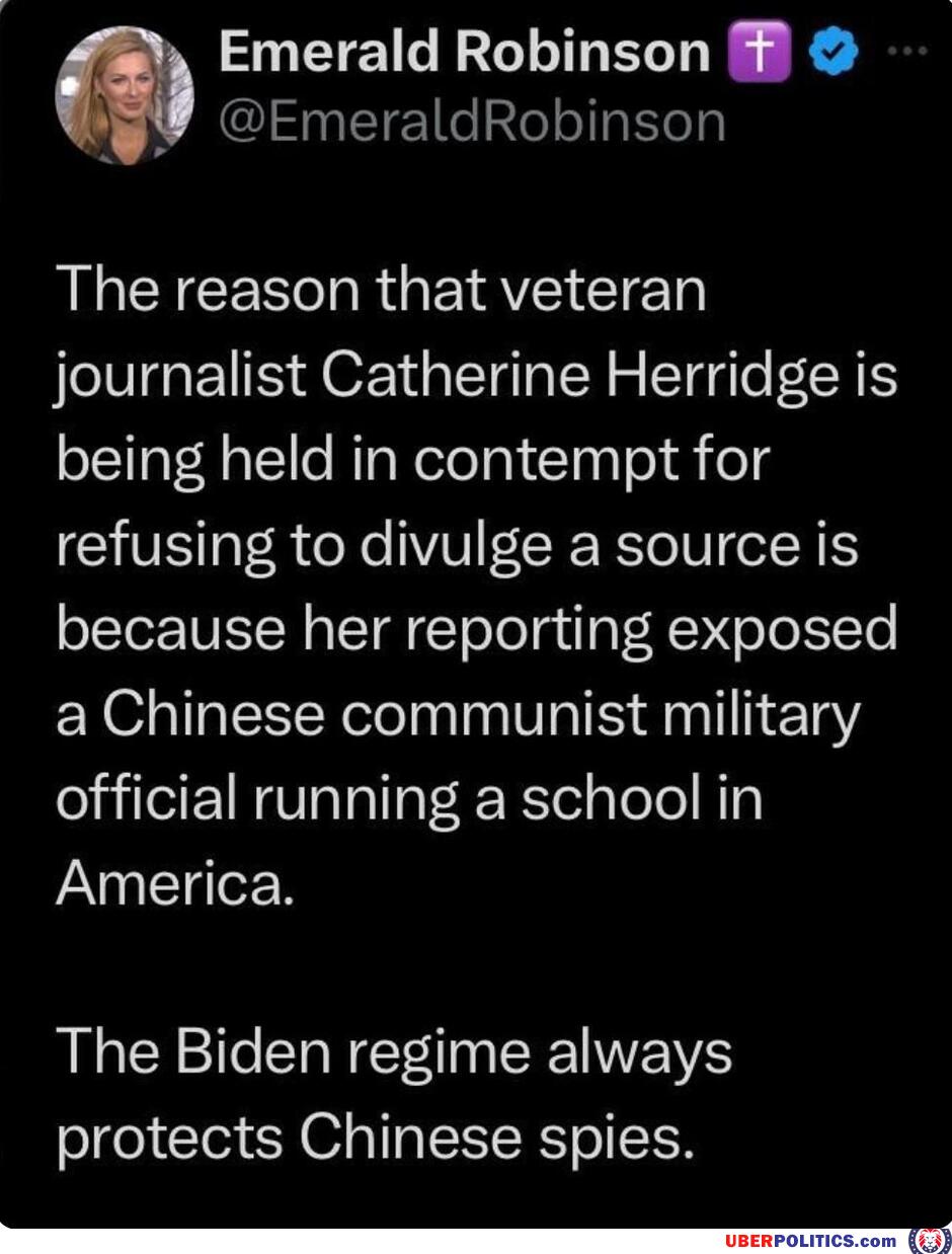 The Biden Regime