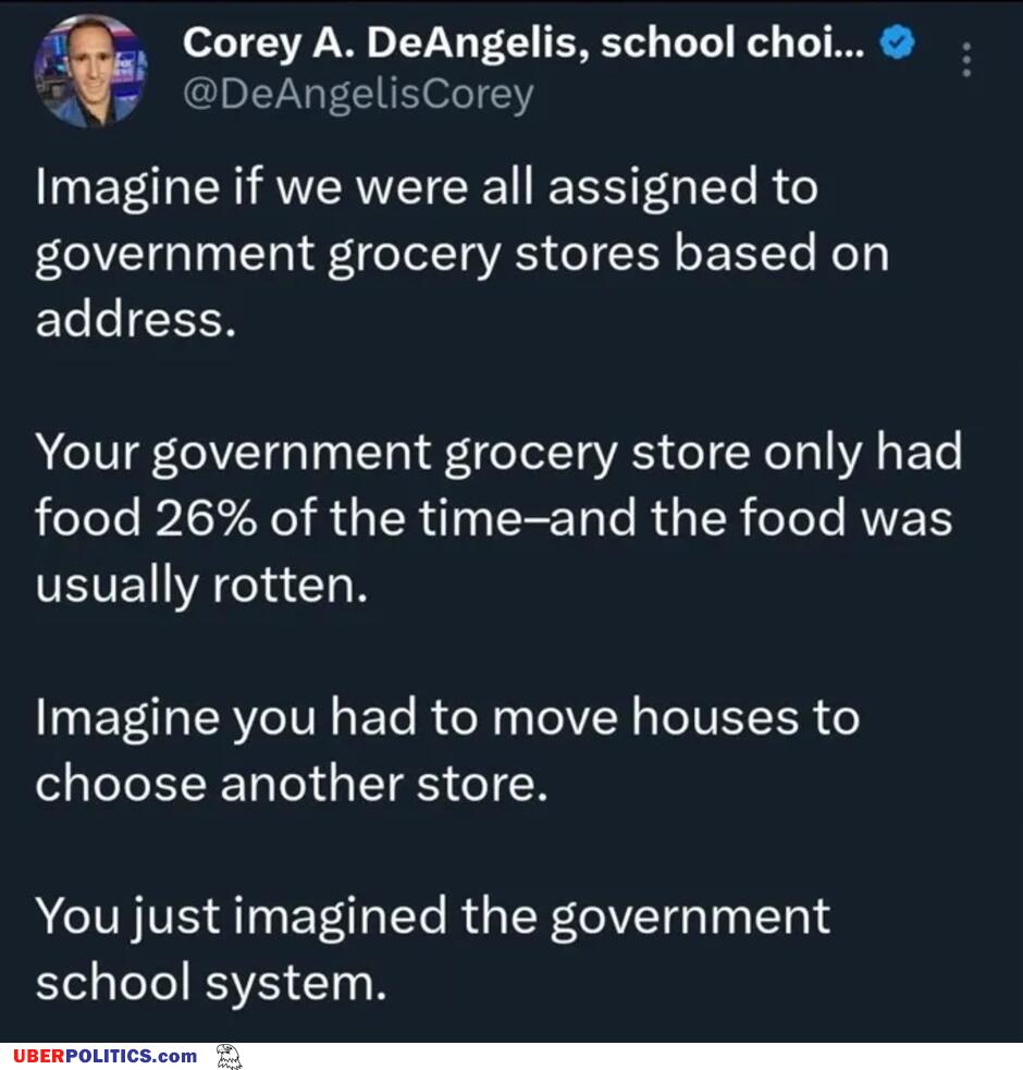 Government School System