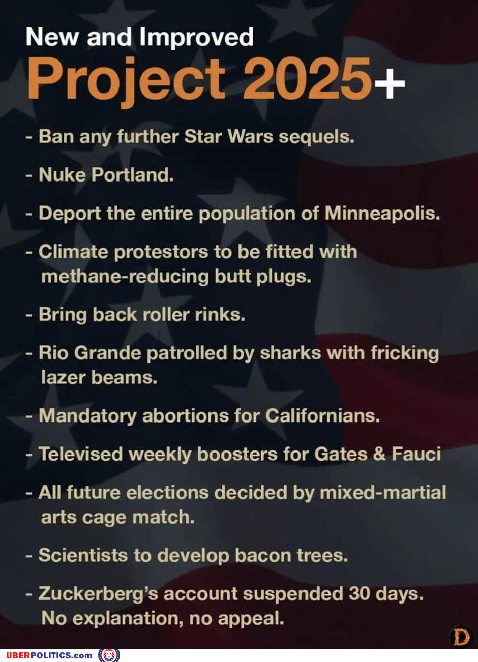 project-2025-is-lit.jpg