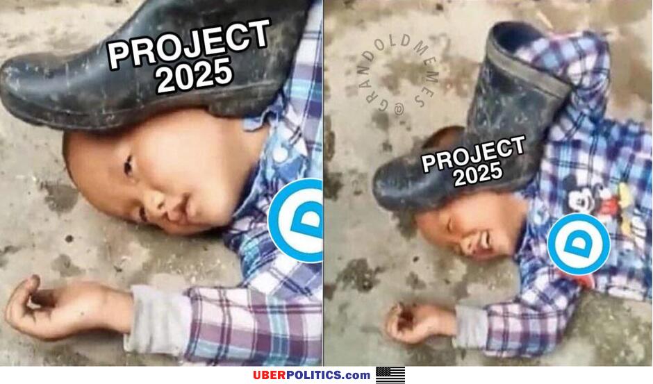 Project 25