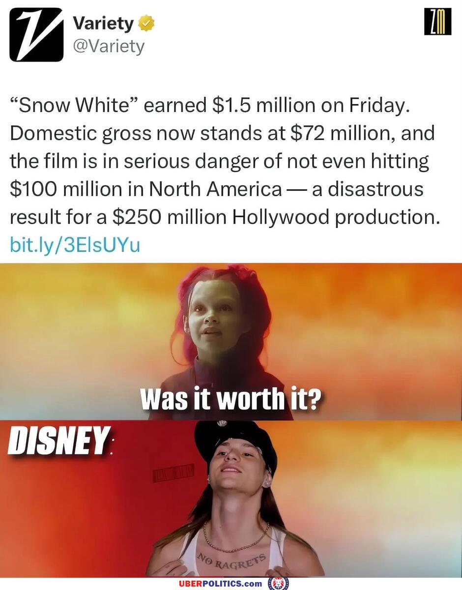 Was It Worth It