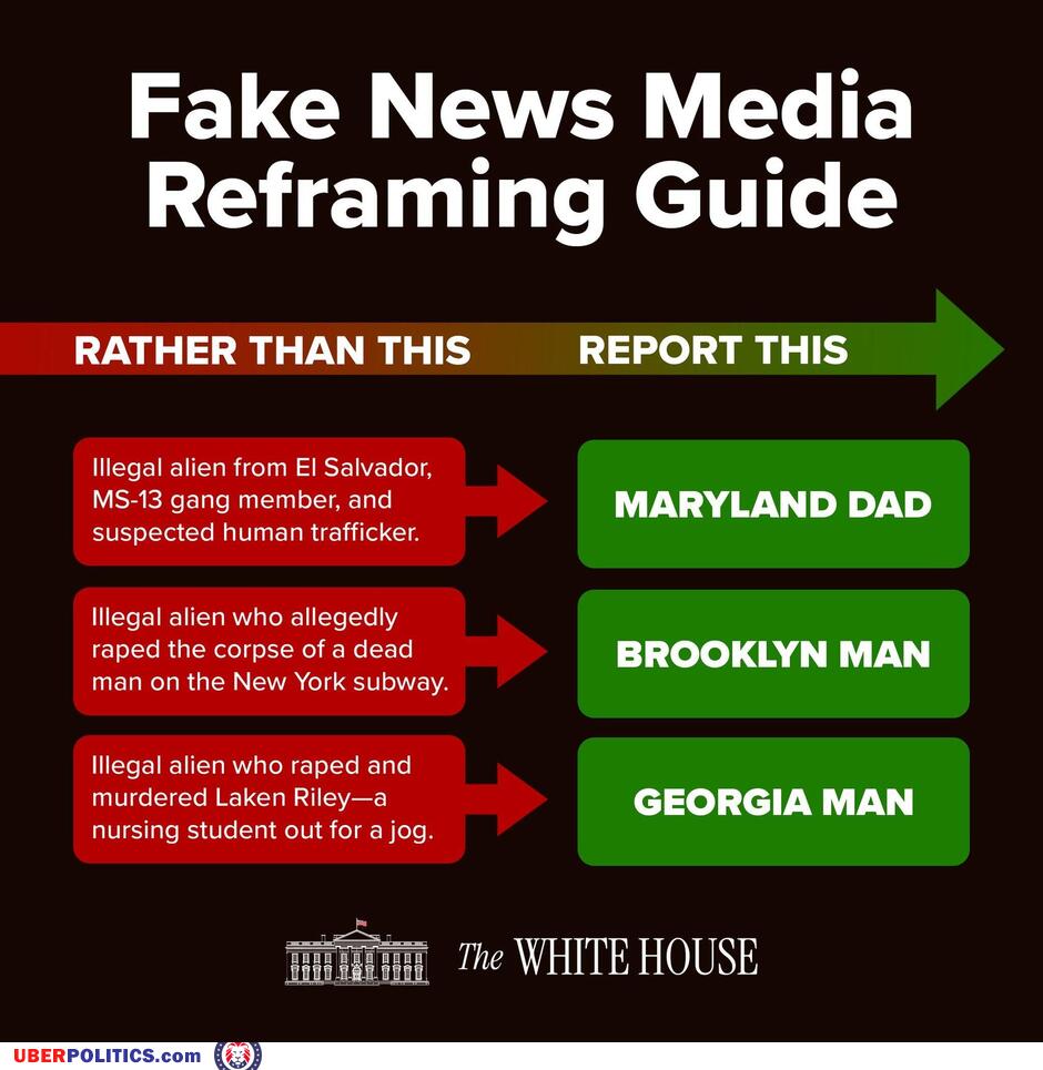 Fake News Guide