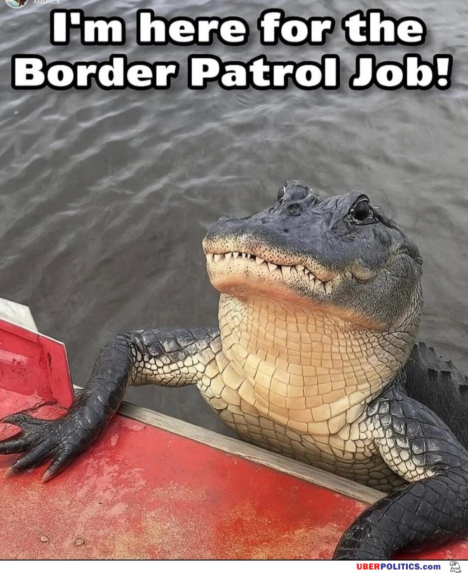 Here For The Job