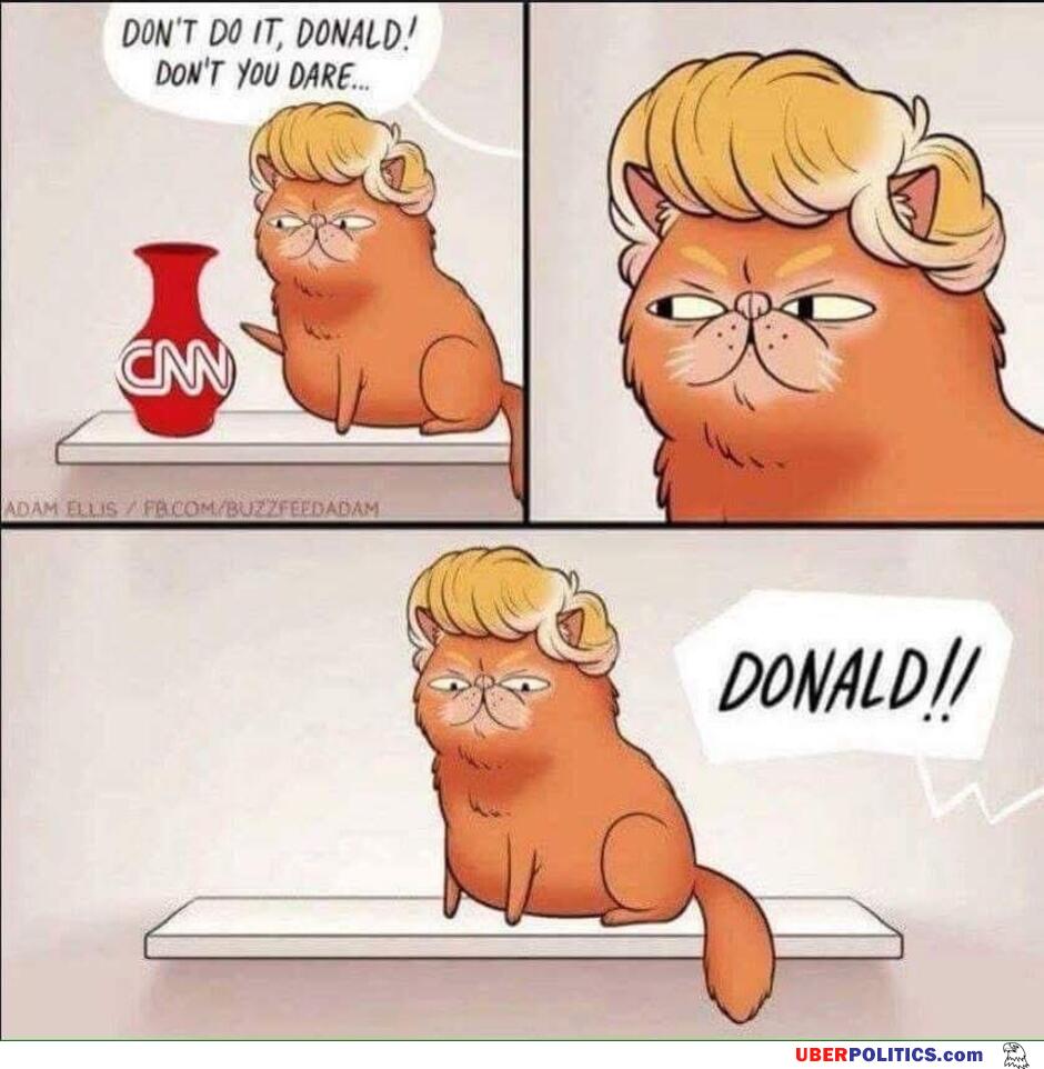 Not That One Donald
