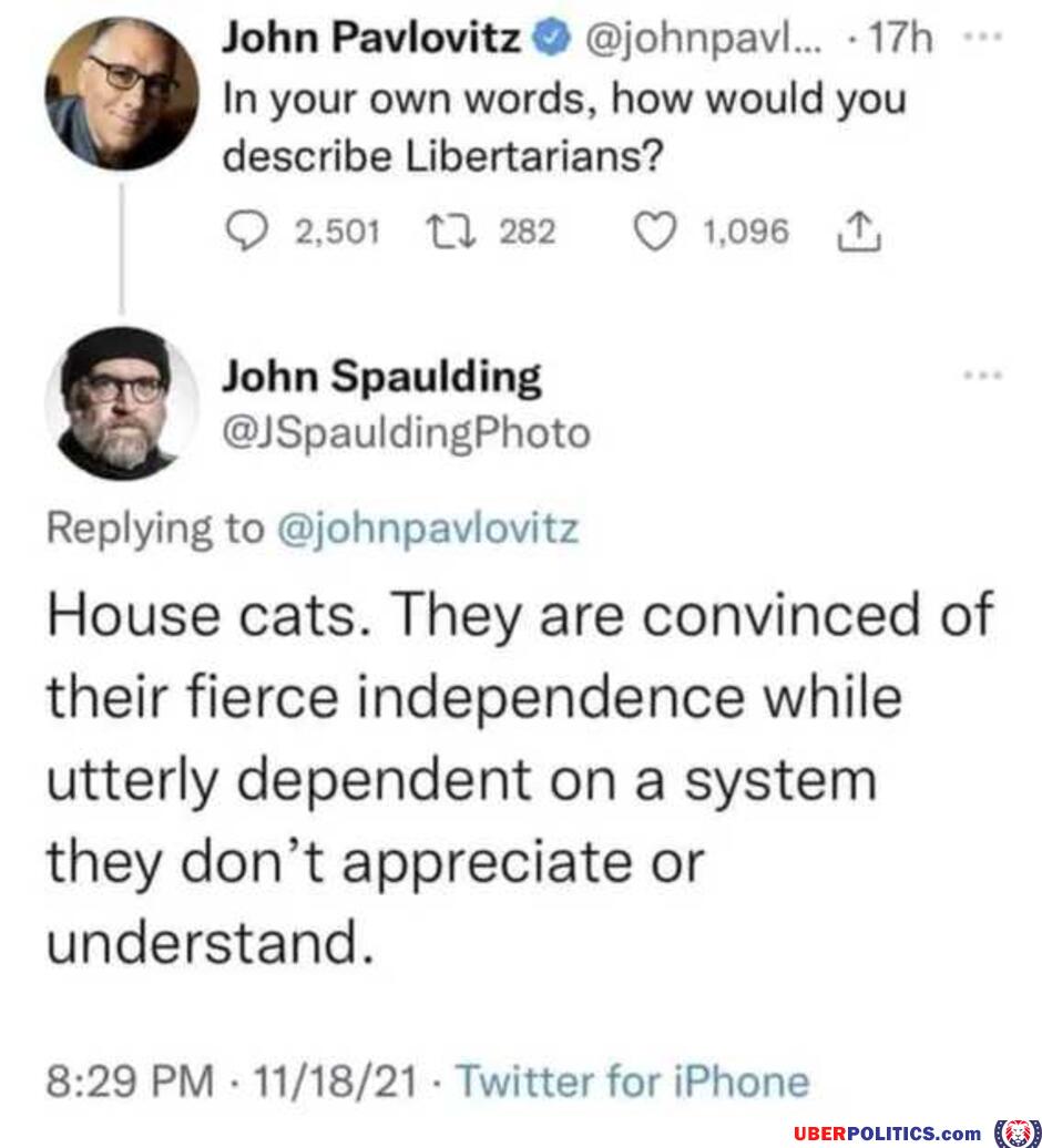 House Cats