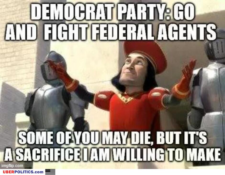The Democrat Party